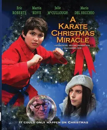 Рождественское чудо в стиле карате / A Karate Christmas Miracle (2019) фильм скачать через торрет бесплатно в хорошем качестве