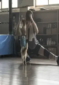 Отбитый боксёр (2019) в хорошем качестве скачать торрент файл Отбитый боксёр (2019) фильм в хорошем качестве скачать торрент файл