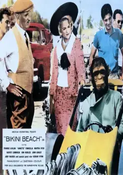Пляж бикини (1964) скачать торрент бесплатно Пляж бикини (1964) фильм скачать торрент бесплатно