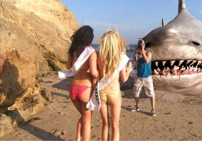 Супер-акула (2011) скачать торрент бесплатно Супер-акула (2011) фильм скачать торрент бесплатно