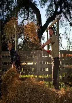 Потерянный муж (2020) в хорошем качестве скачать торрент файл Потерянный муж (2020) фильм в хорошем качестве скачать торрент файл