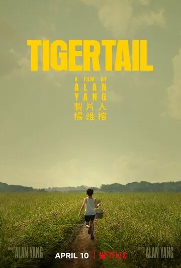 Хвост тигра / Tigertail (2020) фильм скачать через торрет бесплатно в хорошем качестве