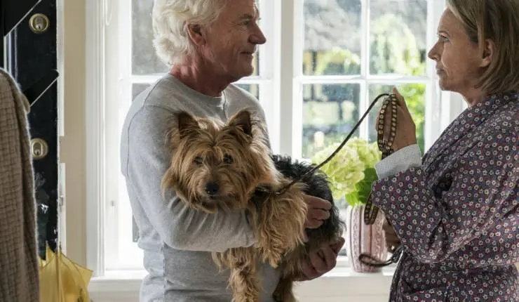 Счастливый конец (2018) в хорошем качестве скачать торрент файл Счастливый конец (2018) фильм в хорошем качестве скачать торрент файл