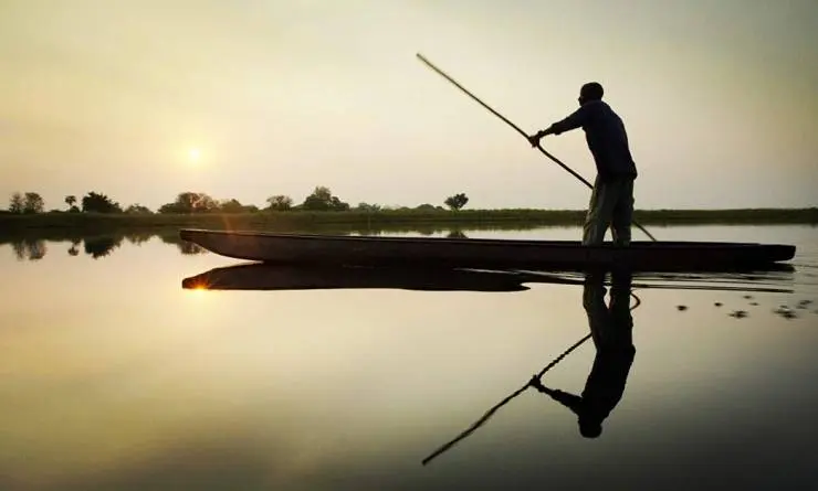 Далеко в Окаванго (2018) скачать торрент файл Далеко в Окаванго (2018) фильм скачать торрент файл
