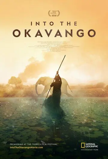 Далеко в Окаванго / Into the Okavango (2018) фильм скачать через торрет бесплатно в хорошем качестве