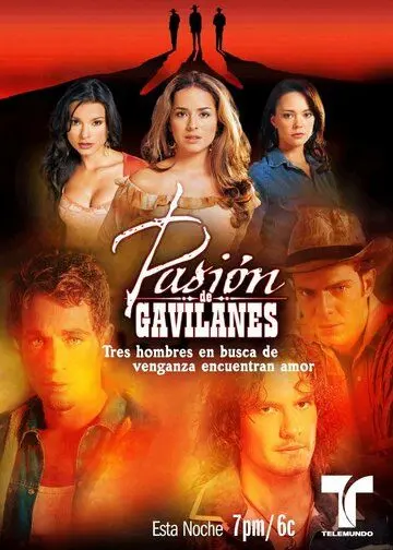 Тайная страсть / Pasion de gavilanes (2003) cериал скачать через торрет бесплатно в хорошем качестве