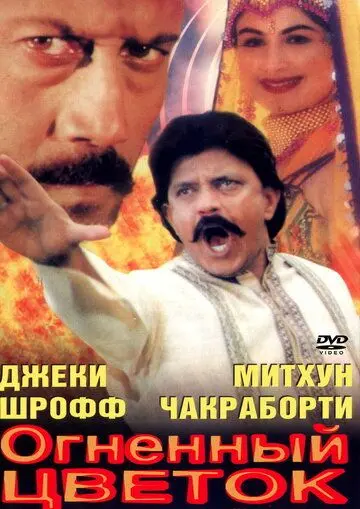 Огненный цветок / Phool Aur Aag (1999) фильм скачать через торрет бесплатно в хорошем качестве
