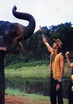 Сафари (1999) скачать торрент файл Сафари (1999) фильм скачать торрент файл