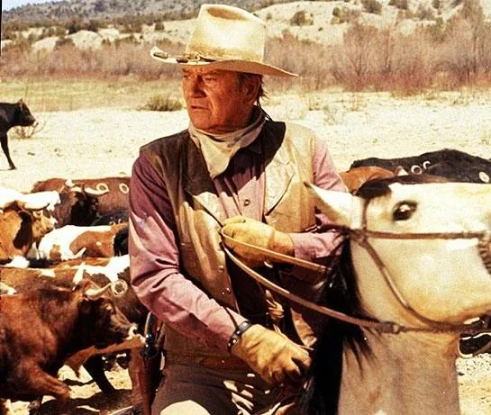 Ковбои (1972) скачать торрент бесплатно Ковбои (1972) фильм скачать торрент бесплатно