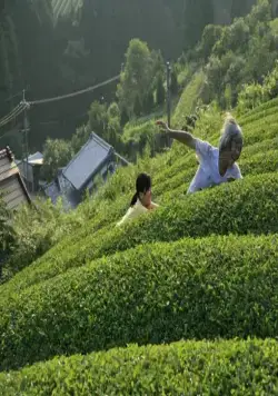 Траурный лес (2007) скачать торрент файл Траурный лес (2007) фильм скачать торрент файл