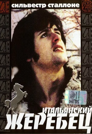 Итальянский жеребец / The Party at Kitty and Stud's (1970) фильм скачать через торрет бесплатно в хорошем качестве