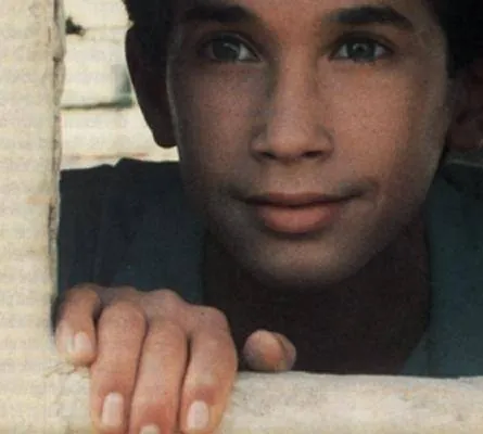 Мальчик на крыше (1990) скачать торрент бесплатно Мальчик на крыше (1990) фильм скачать торрент бесплатно