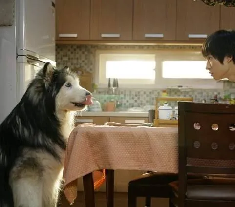 Наш город (2007) скачать торрент файл Наш город (2007) фильм скачать торрент файл