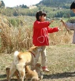 История Мари и трех щенков (2007) скачать торрент файл История Мари и трех щенков (2007) фильм скачать торрент файл