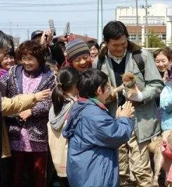 История Мари и трех щенков (2007) в хорошем качестве скачать торрент файл История Мари и трех щенков (2007) фильм в хорошем качестве скачать торрент файл