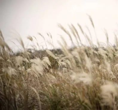 Пир богов (2012) скачать торрент бесплатно Пир богов (2012) сериал скачать торрент бесплатно