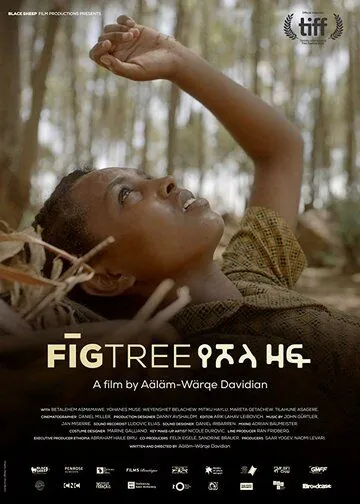 Инжир / Fig Tree (2018) фильм скачать через торрет бесплатно в хорошем качестве
