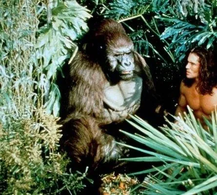 Тарзан: История приключений (1996) 1 сезон 1-20,21,22 серия скачать торрент файл Тарзан: История приключений (1996) сериал 1-20,21,22 серию 1 сезона скачать торрент файл