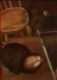 Лень (1979) мультфильм скачать через торрет бесплатно в хорошем качестве