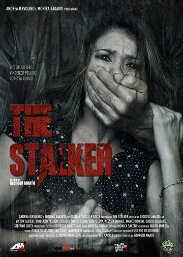 Сталкер / The Stalker (2013) фильм скачать через торрет бесплатно в хорошем качестве