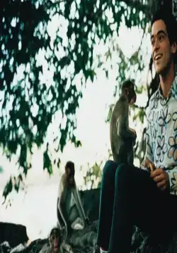 Просветление (2001) скачать торрент бесплатно Просветление (2001) фильм скачать торрент бесплатно