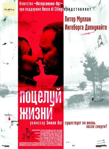 Поцелуй жизни / Kiss of Life (2003) фильм скачать через торрет бесплатно в хорошем качестве