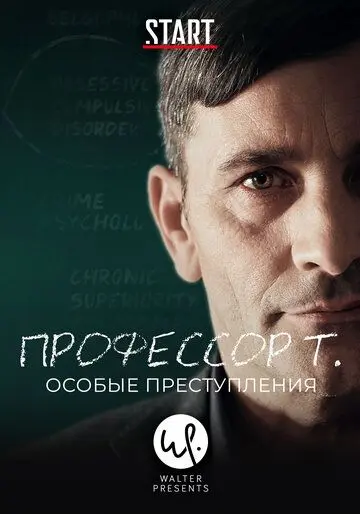 Профессор Т.: Особые преступления / Professor T. (2015) cериал скачать через торрет бесплатно в хорошем качестве