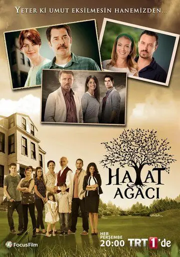 Дерево жизни / Hayat Agaci (2014) сериал скачать через торрет бесплатно в хорошем качестве