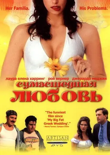 Сумасшедшая любовь / Mi Casa, Su Casa (2003) фильм скачать через торрет бесплатно в хорошем качестве
