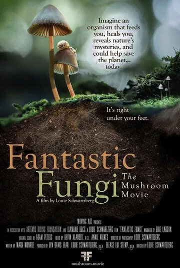 Фантастические Грибы / Fantastic Fungi (2019) фильм скачать через торрет бесплатно в хорошем качестве