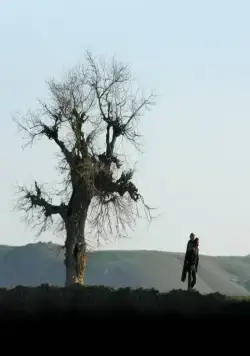 Двуногий конь (2008) скачать торрент файл Двуногий конь (2008) фильм скачать торрент файл