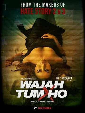 Ты всему причина / Wajah Tum Ho (2016) фильм скачать через торрет бесплатно в хорошем качестве