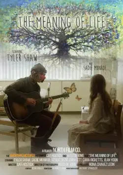 Смысл жизни / The Meaning of Life (2017) фильм скачать через торрет бесплатно в хорошем качестве