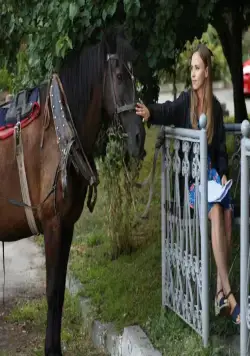 Тайна Марии (2019) 1 сезон 1-6,7,8 серия в хорошем качестве скачать торрент файл Тайна Марии (2019) сериал 1-6,7,8 серию 1 сезона в хорошем качестве скачать торрент файл