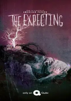 В ожидании / The Expecting (2020) cериал скачать через торрет бесплатно в хорошем качестве
