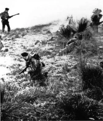 Красный берет (1953) скачать торрент бесплатно Красный берет (1953) фильм скачать торрент бесплатно