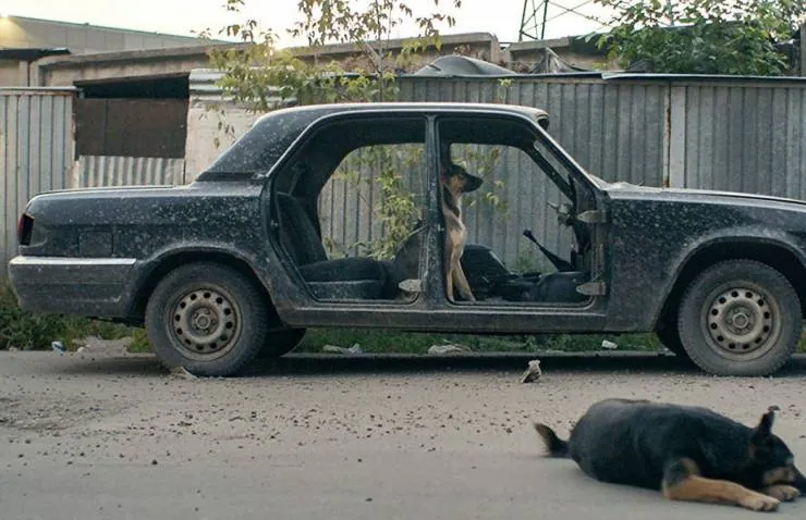 Космические собаки (2019) в хорошем качестве скачать торрент файл Космические собаки (2019) фильм в хорошем качестве скачать торрент файл