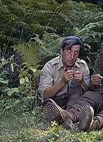 Куда же делась седьмая рота? (1973) в хорошем качестве скачать торрент файл Куда же делась седьмая рота? (1973) фильм в хорошем качестве скачать торрент файл