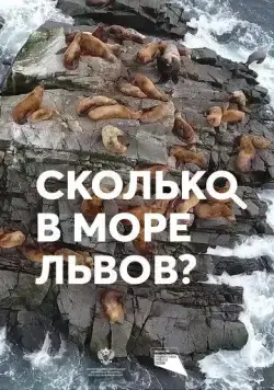 Сколько в море львов? (2018) фильм скачать через торрет бесплатно в хорошем качестве