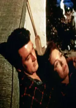 Все, что дозволено небесами (1955) скачать торрент файл Все, что дозволено небесами (1955) фильм скачать торрент файл