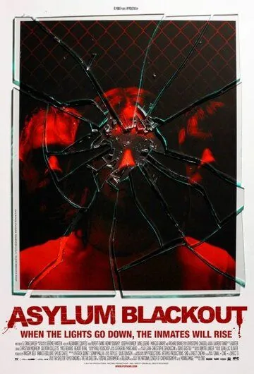 Инцидент / Asylum Blackout (2011) фильм скачать через торрет бесплатно в хорошем качестве