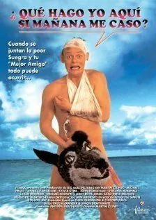 Особенности холостяцкой вечеринки / Staggered (1994) фильм скачать через торрет бесплатно в хорошем качестве