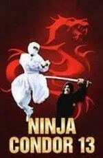 Ниндзя-стервятник / Ninjas, Condors 13 (1987) фильм скачать через торрет бесплатно в хорошем качестве