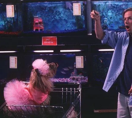 Счастливая пропажа (1999) скачать торрент бесплатно Счастливая пропажа (1999) фильм скачать торрент бесплатно