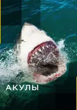 Акулы / Sharks (2017) cериал скачать через торрет бесплатно в хорошем качестве