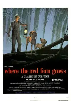 Цветок красного папоротника / Where the Red Fern Grows (1974) фильм скачать через торрет бесплатно в хорошем качестве