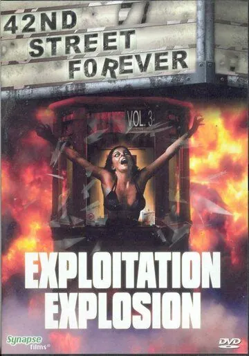 42-ая улица навсегда: Часть 3 / 42nd Street Forever, Volume 3: Exploitation Explosion (2008) фильм скачать через торрет бесплатно в хорошем качестве