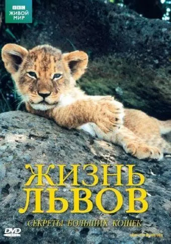 BBC: Жизнь львов / Lions: Spy in the Den (2000) фильм скачать через торрет бесплатно в хорошем качестве