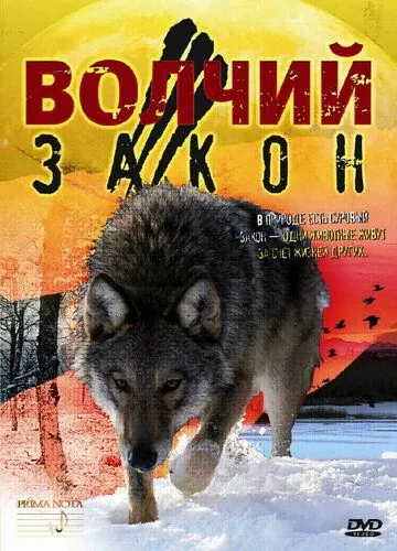 Волчий закон (2008) фильм скачать через торрет бесплатно в хорошем качестве