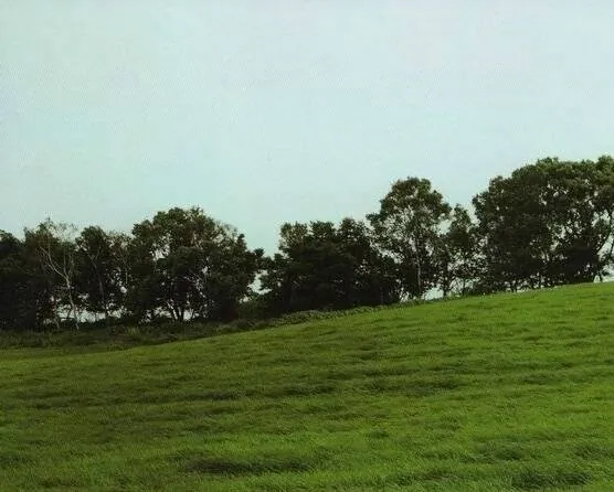 Знамена самураев (2007) 1 сезон 1-48,49,50 серия скачать торрент файл Знамена самураев (2007) сериал 1-48,49,50 серию 1 сезона скачать торрент файл